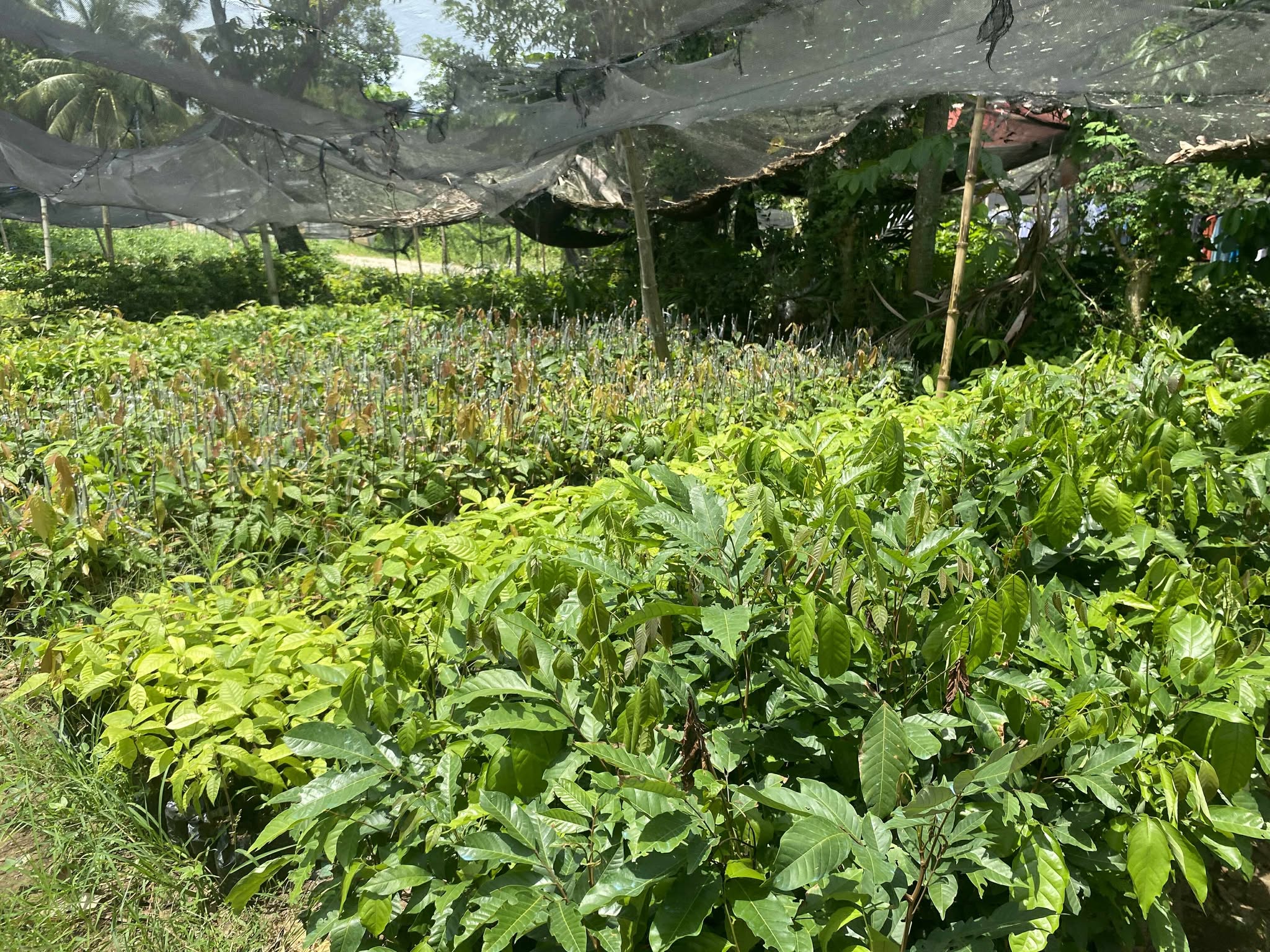 Photo by Martin Sanchez