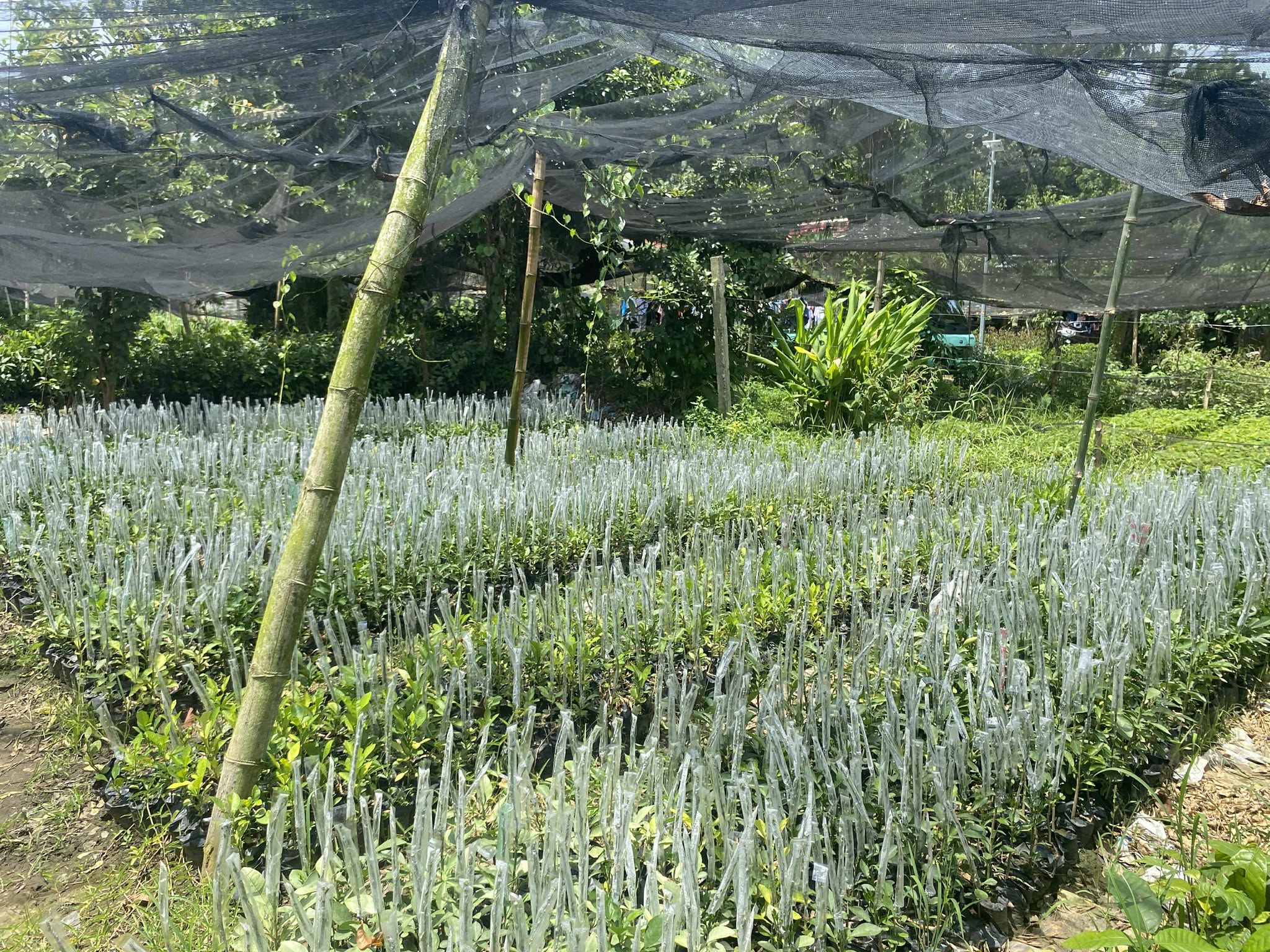 Photo by Lorenzo Herrera